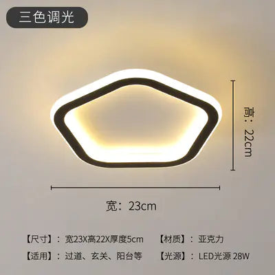 Modern Minimalist LED Ceiling Light for Hallway