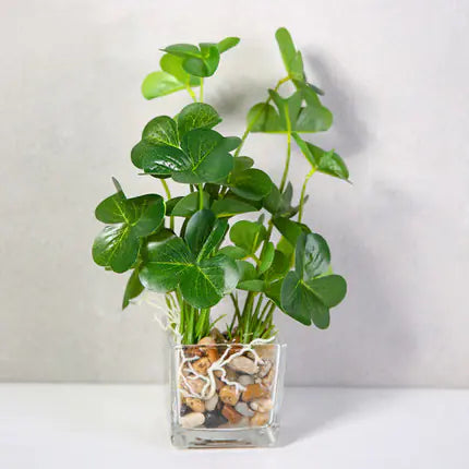Bonsai, Potted Plants, Artificial Greenery