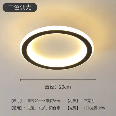 Modern Minimalist LED Ceiling Light for Hallway