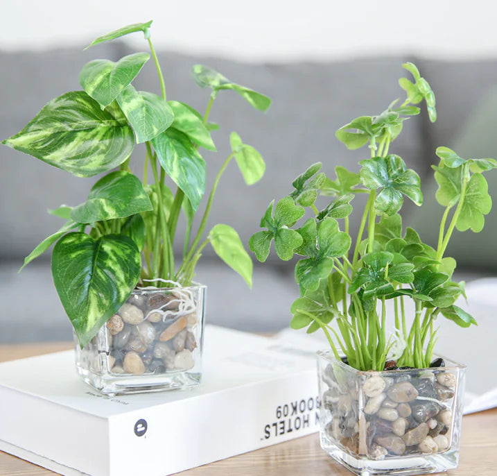 Bonsai, Potted Plants, Artificial Greenery