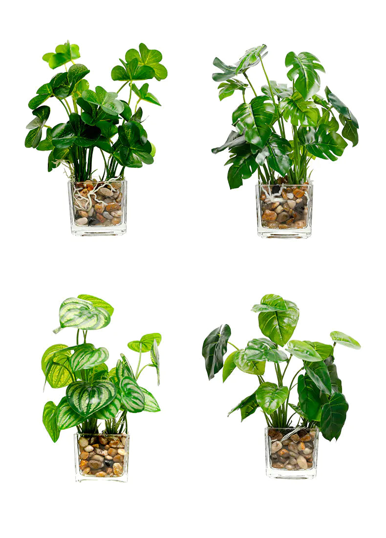 Bonsai, Potted Plants, Artificial Greenery