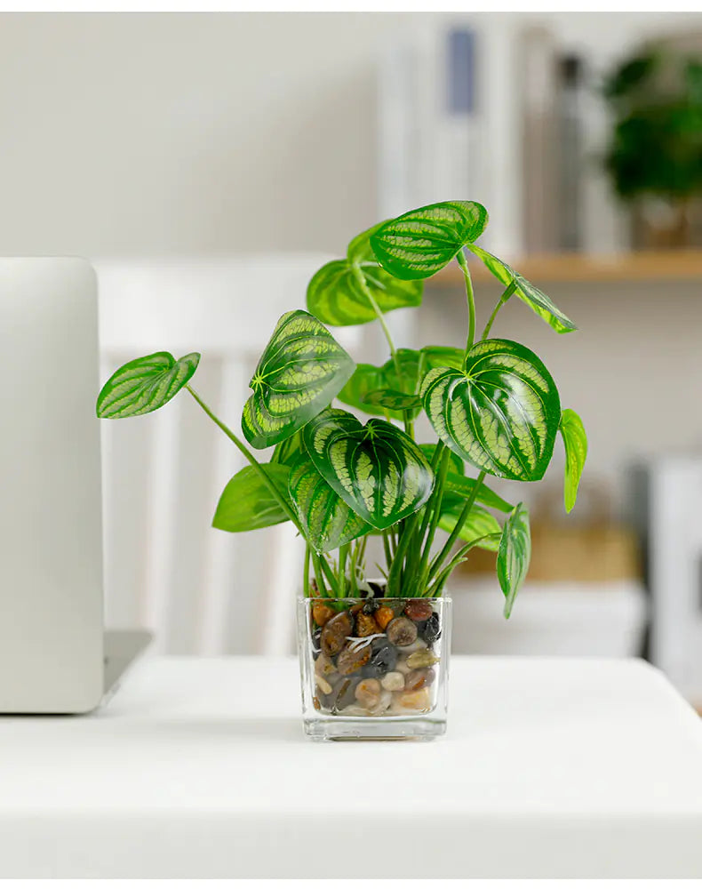Bonsai, Potted Plants, Artificial Greenery