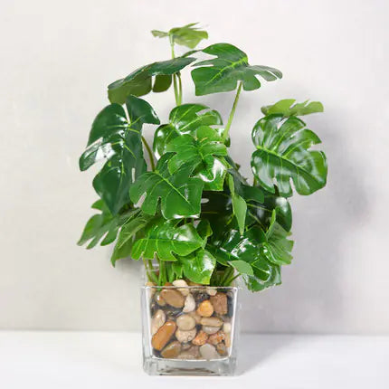 Bonsai, Potted Plants, Artificial Greenery