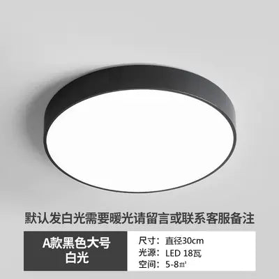 Modern Minimalist LED Ceiling Light for Hallway