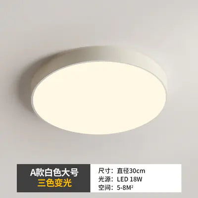 Modern Minimalist LED Ceiling Light for Hallway