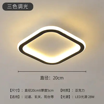 Modern Minimalist LED Ceiling Light for Hallway