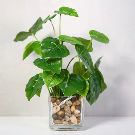 Bonsai, Potted Plants, Artificial Greenery