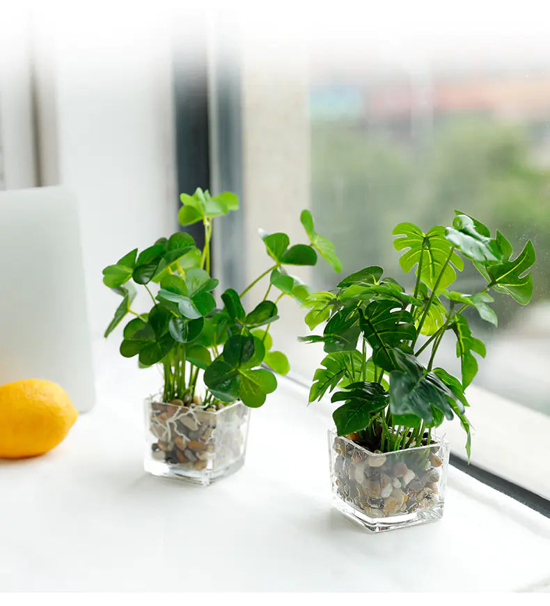 Bonsai, Potted Plants, Artificial Greenery